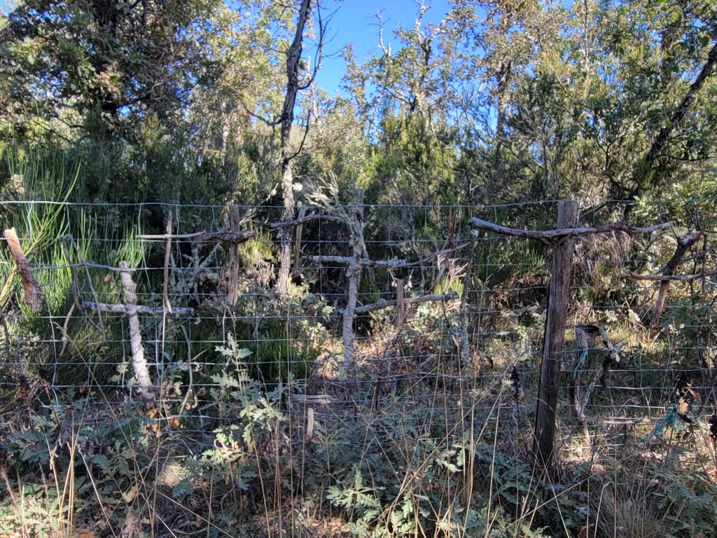 People use random sticks to add their own to the fence.