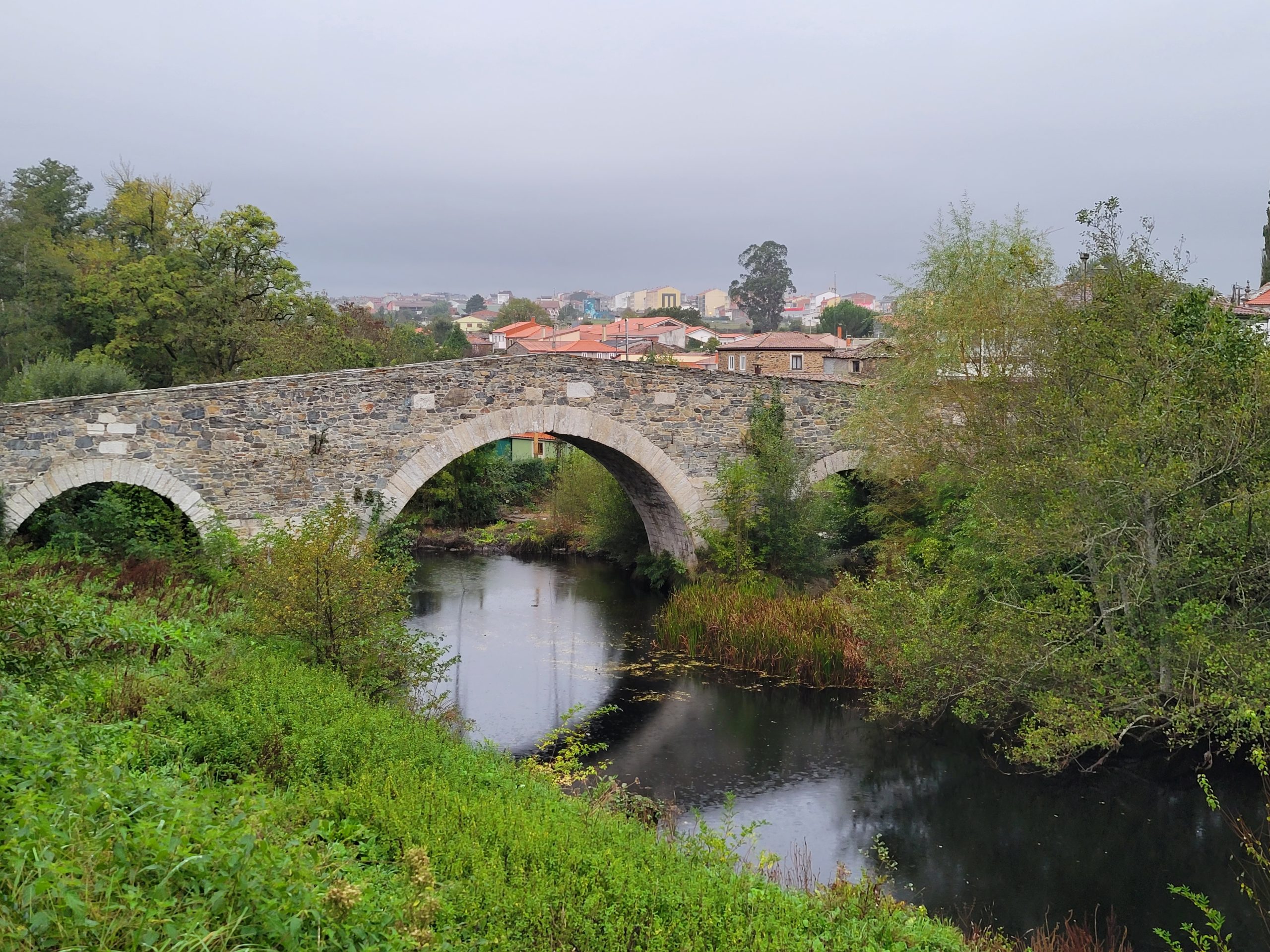 Beautiful bridge over the river Pambre--second of the day.