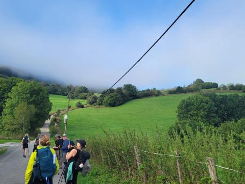 Through rolling green hills