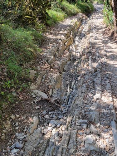 Rocky gullies were tough on the knees and hard to maneuver. Down 300 feet over about a half mile.