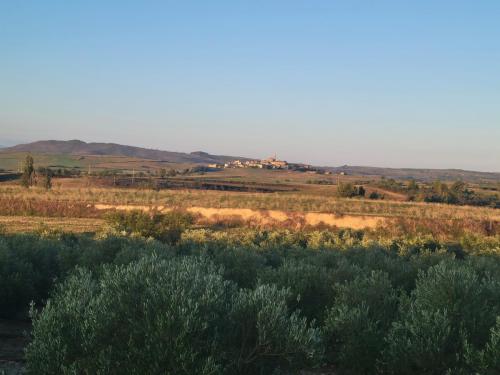 Leaving Los Arcos with Sansol in the distance