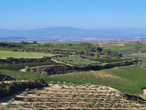 Farmland of olive groves and vineyards