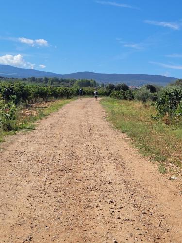 Long, dusty, and hot raod to Najera