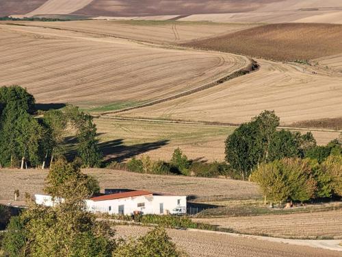 Fields of grain, wheat or oats, already harvested.