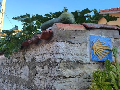 Huge squash lying on top of the wall near camino sign