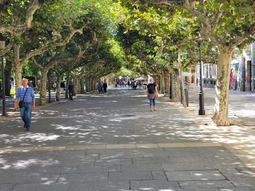 At last! The Paseo Espolon where trees line both sides of the promenade!