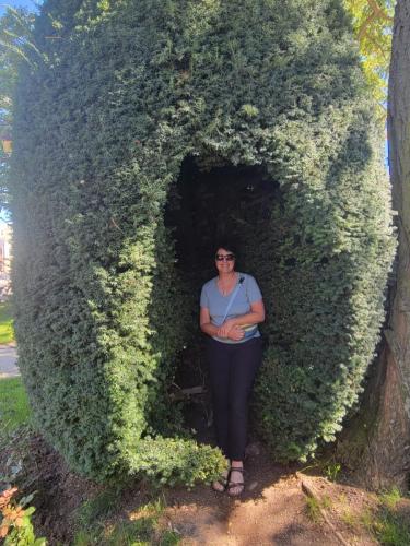 Inside a carved yew tree along the promenade.