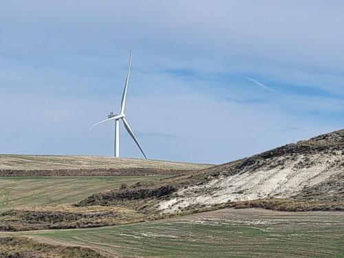 Windmill peeking over the edge