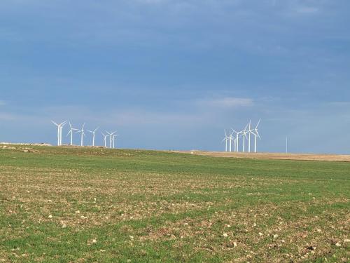 Rows and rows of windmills