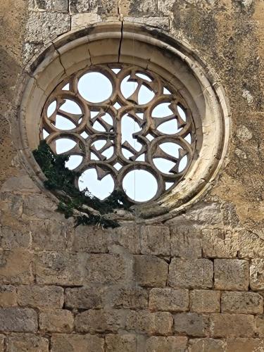 Old rose window with Tau