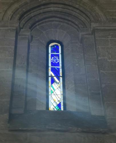 Window with camino shell