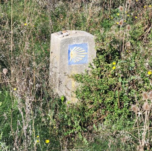 Camino way sign. Typical, partially hidden and small.