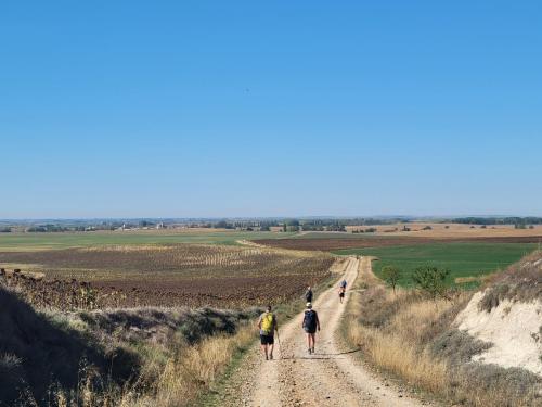 Walking through rolling hills