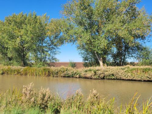 Our final section was along a wide canal with overarching trees. So nice!