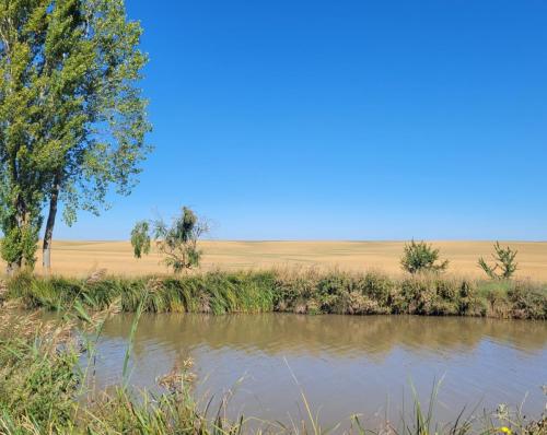 View across the canal