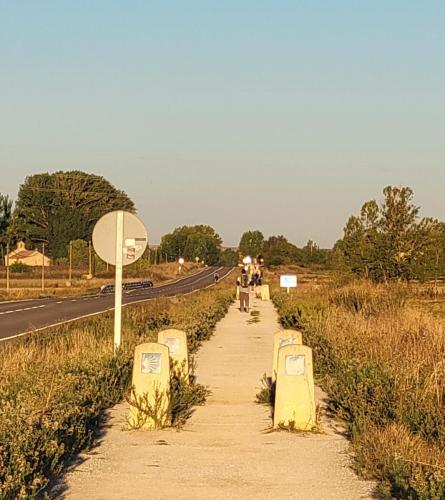 Markers indicating a crossing path.