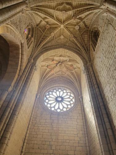 Rose window at monochrome vaulted arches (which were pink)