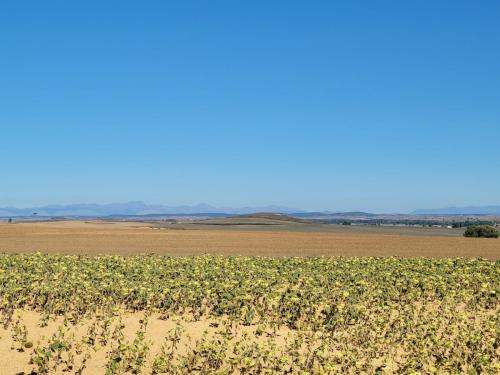 Mountains still visible far away over the plain.