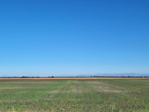 Huge mountains in the far distance.