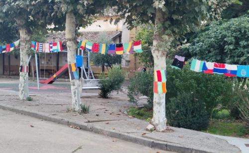 Creative knitting and display of flags of the nations.