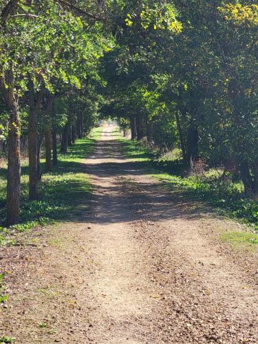 Walking on in some shade at last!