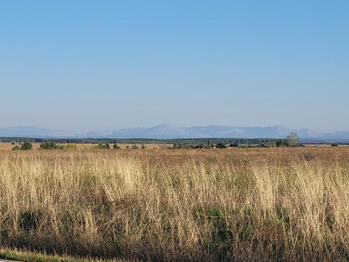 Cantalabrian mountains in the distance. We'll cross the end of these.