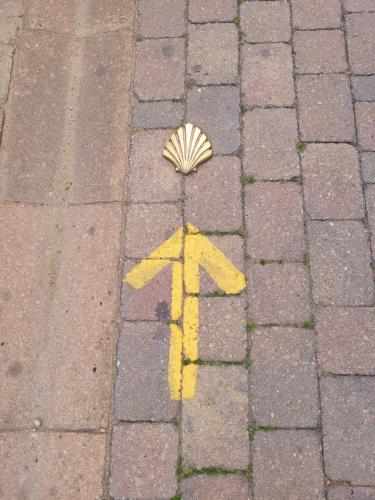 The 2 main camino signs together