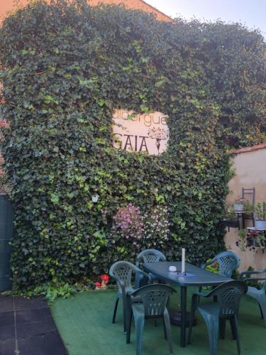 The patio garden at our albergue. Breezey and nice.