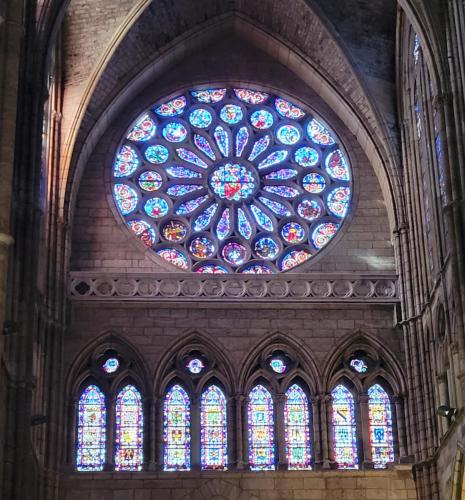 South rose window