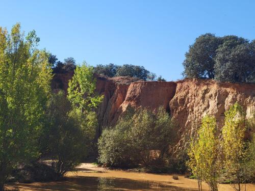 Sandstone or clay cliffs