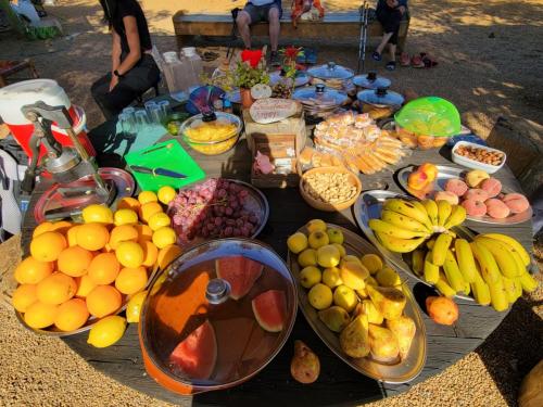 What a spread! Manna in the desert!!