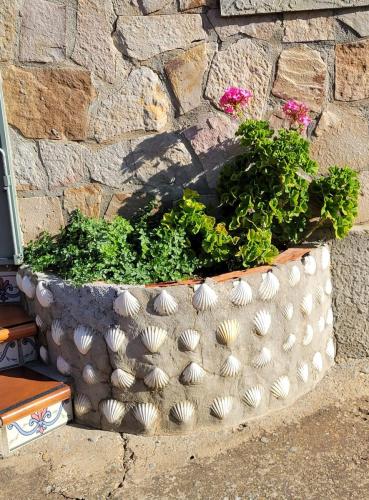 Nice planter at the front door