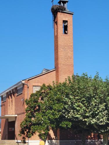 Modern church with huge nest at the top of the bell tower.