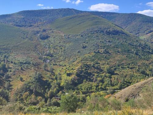 The hills are so much greener in Galicia