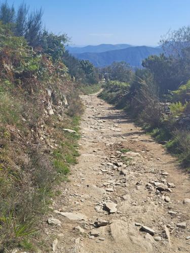 Rocky path keeps on going