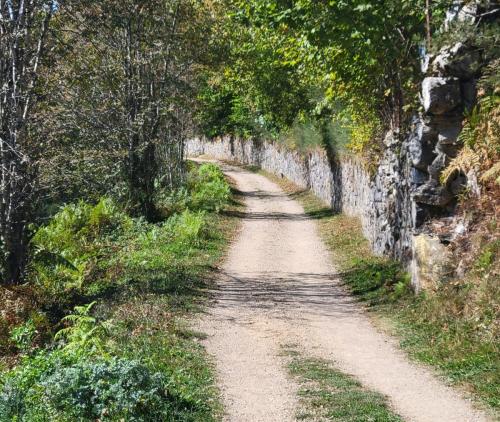 Along a stone wall