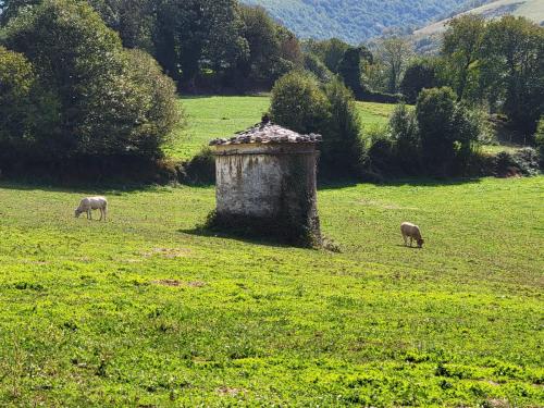 Pastoral scene