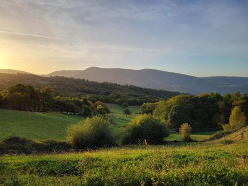 Rolling hills along the way.