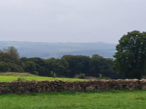 Following along the rock walled pastures.