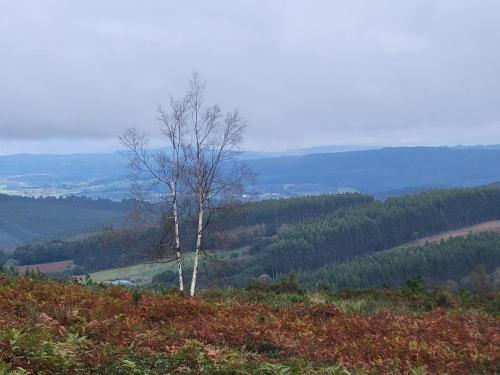 Vista under the clouds