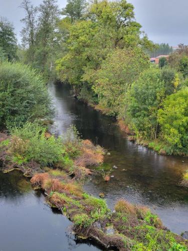 View of the river.