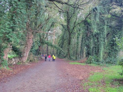 Wide forests throughout Galicia.