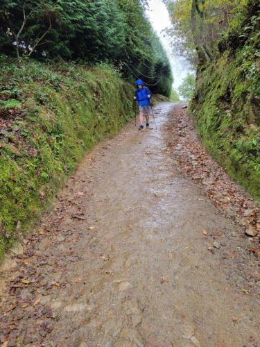 Walkin' in the rain with the one I love!