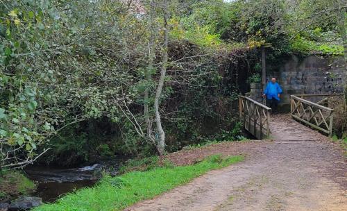 Charming wooden bridge over a swidt-running stream.