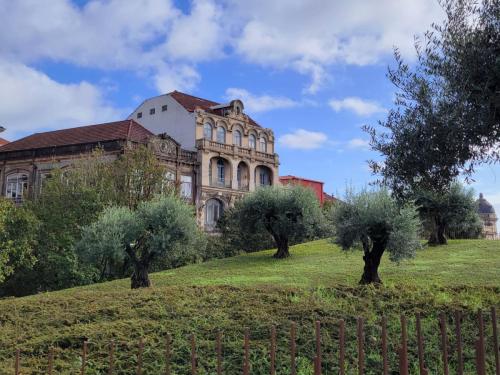 Small olive trees planted in the elevated park