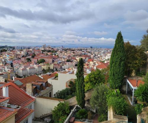 Looking inland over the city