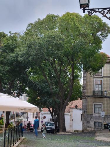 Beginning of the walk down into old Lisbon